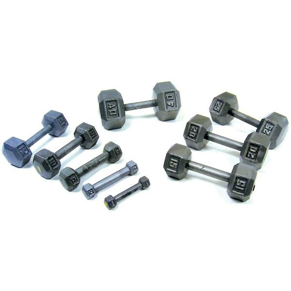 Steadfast 20lbs Cast Iron Hex Dumbbell ST145793